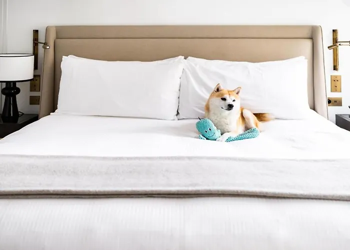 فندق Kimpton - St Honore By Ihg