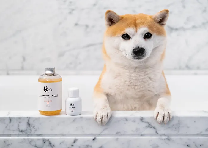 Kimpton - St Honore By Ihg