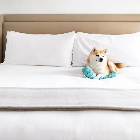 Hotel Kimpton - St Honore By Ihg