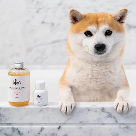 Kimpton - St Honore By Ihg